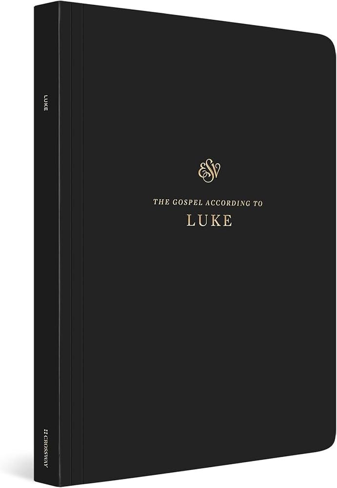 Our church is going through the book of Luke. Our pastor recommended this journal.  