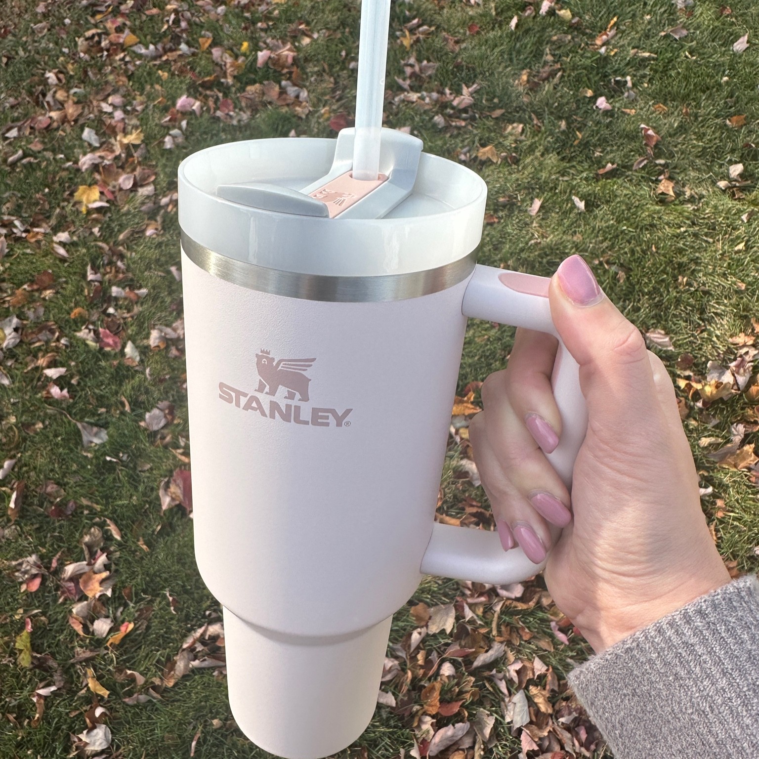 My new favorite water bottle: Stanley Rose Quartz 

Perfect for gifts or just yourself!



#LTKSeasonal #LTKhome #LTKunder50