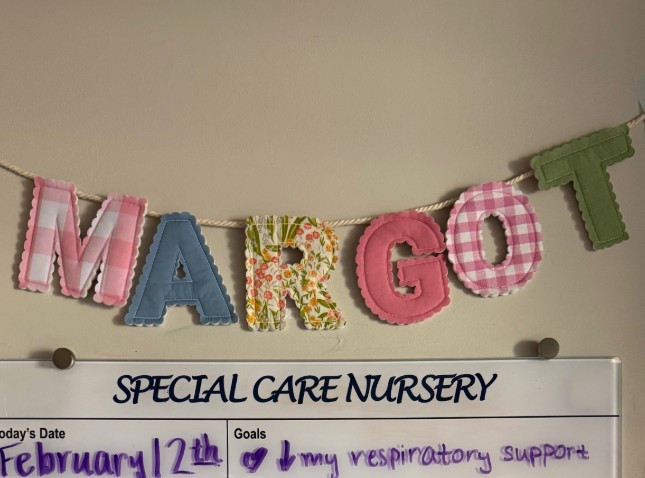 The sweetest name banner for the hospital, kids room, play room, etc  

#LTKBaby #LTKKids