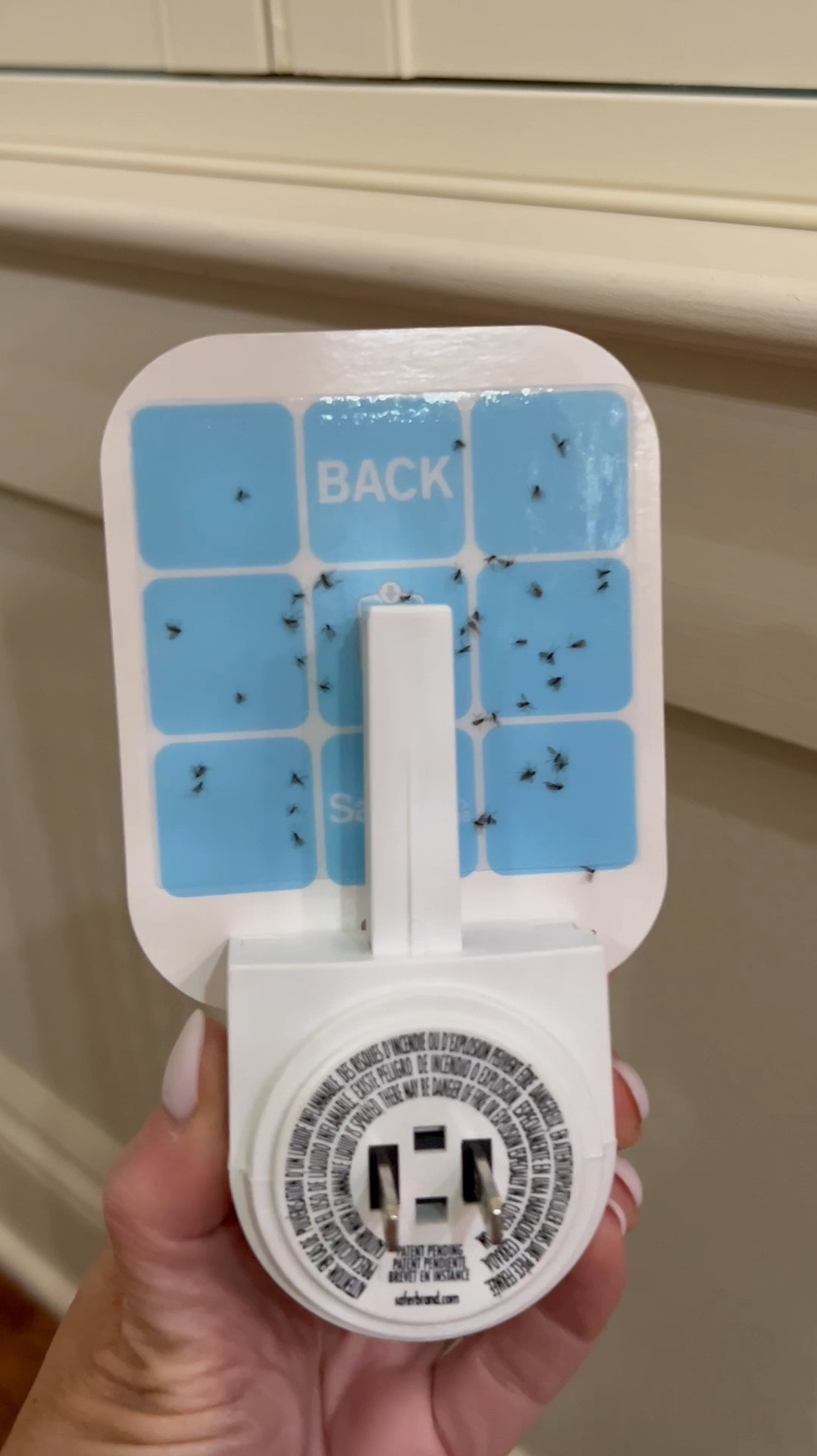 Must have for summer! Bug trapper from Amazon! 

#LTKVideo #LTKfindsunder50 #LTKhome