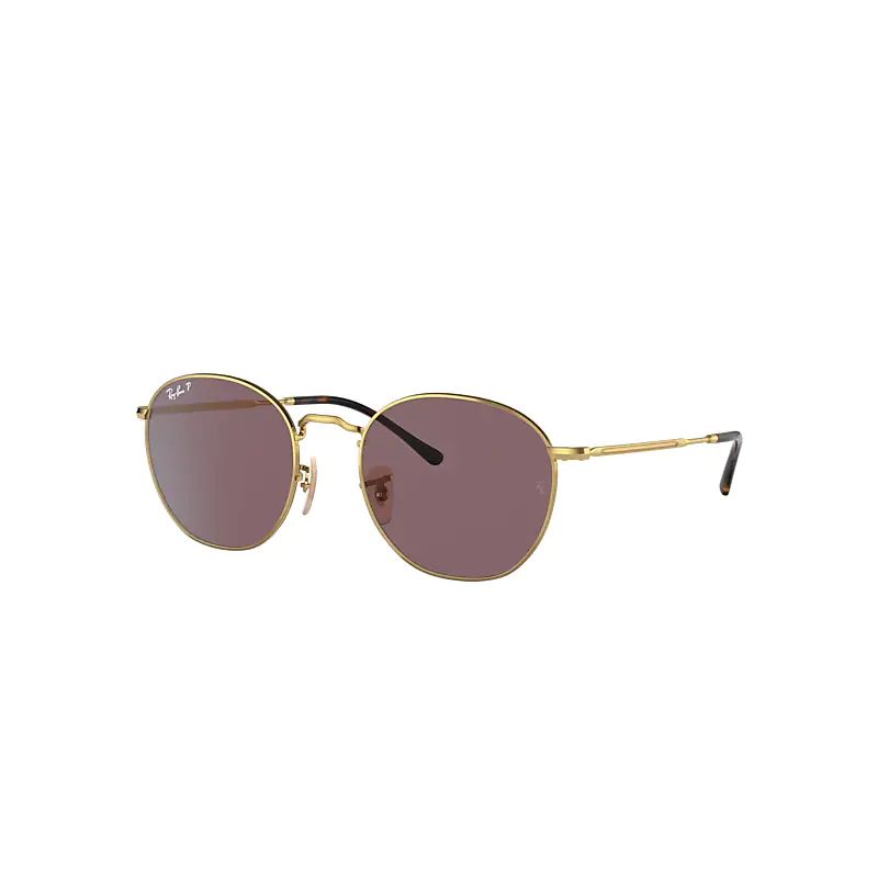 Ray-Ban Rob Sunglasses Gold Frame Violet Lenses Polarized 54-20 | Ray-Ban (US)