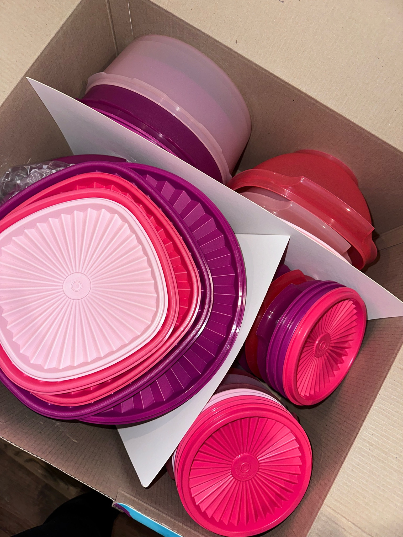 CUTE new Tupperware for Valentine’s Day! 

#LTKsalealert #LTKSeasonal #LTKfindsunder100