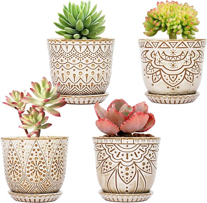 Succulent Pots, 4 Inch Small Indoor Ceramic Planter Pot with Drainage Holes and Saucers for Plant... | Amazon (US)