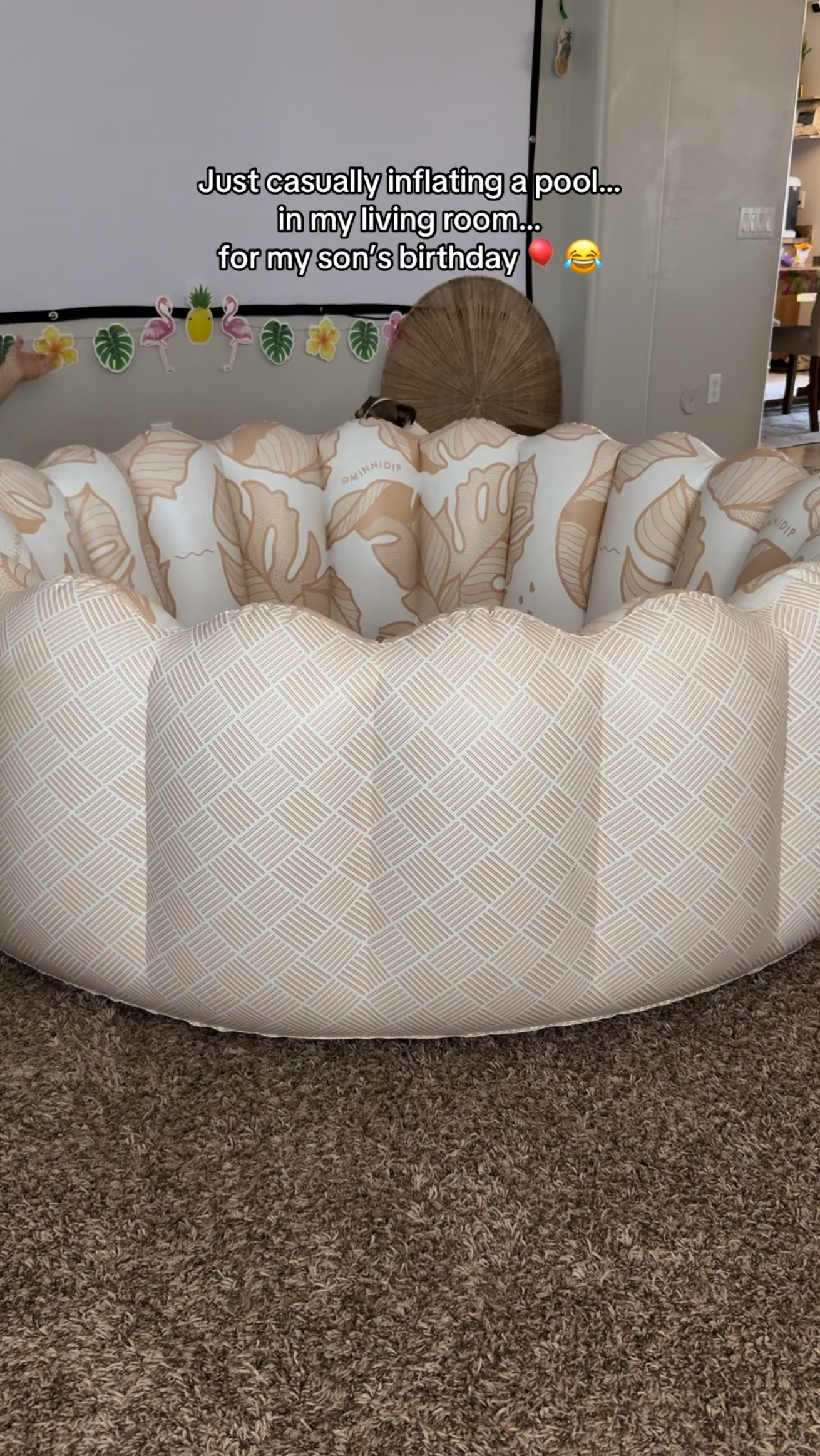 Minidip inflatable shell pool from Target!#LTKSummerEdit 

#LTKSeasonal #LTKKids