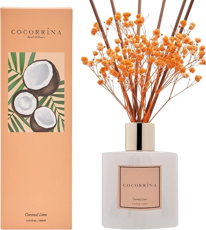Cocorrína Premium Reed Diffuser Set with Preserved Baby's Breath & Cotton Stick Coconut Lime | 6... | Amazon (US)