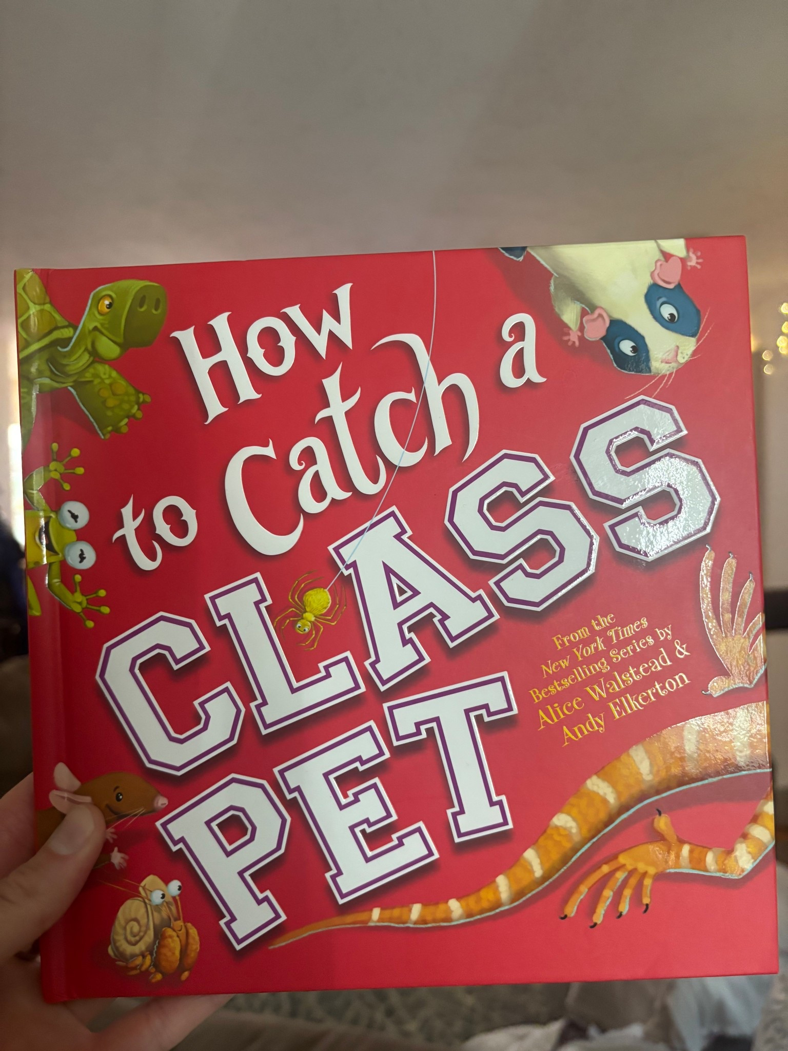 Great read aloud for the first week of school! 

#LTKKids #LTKFindsUnder50 #LTKPets