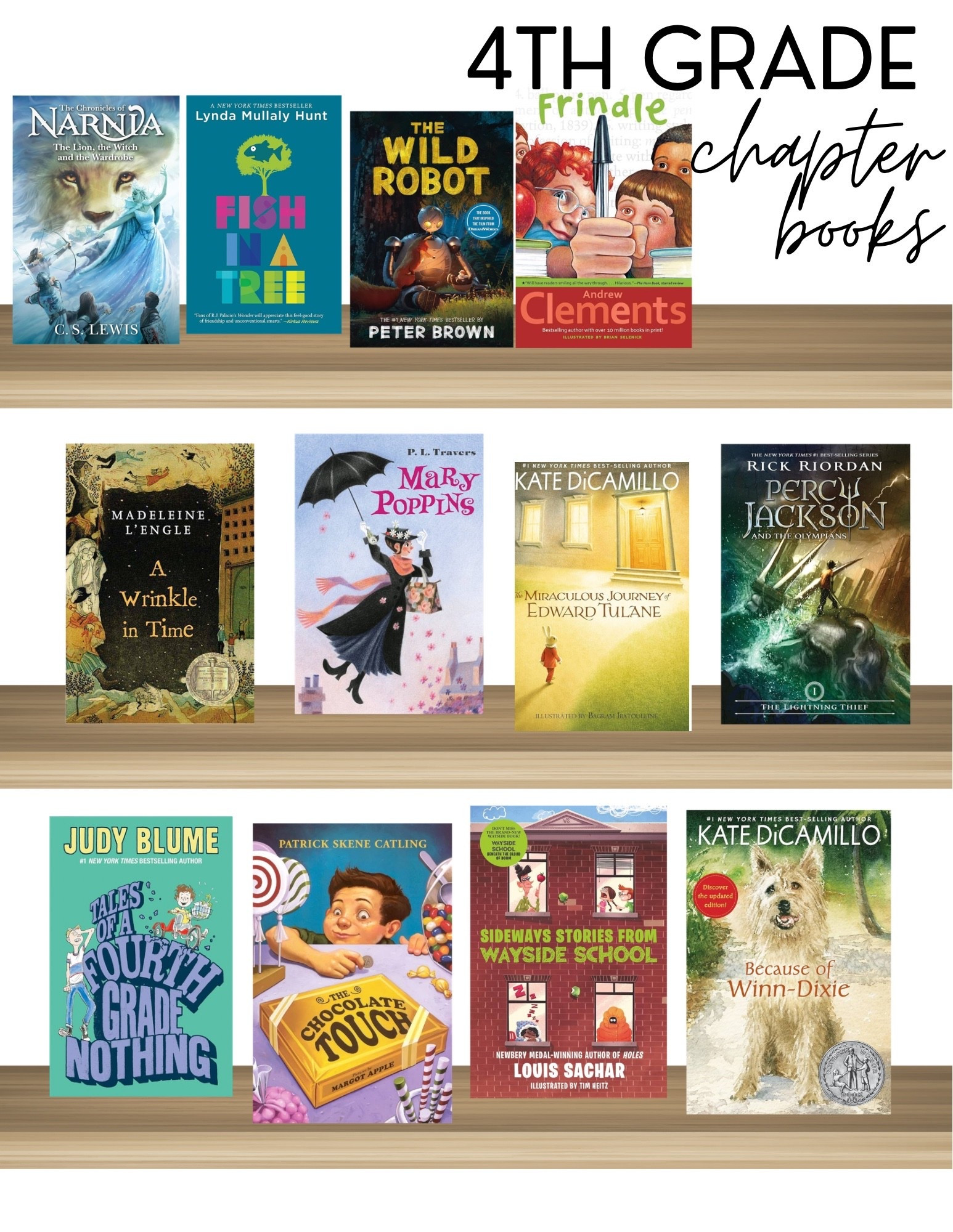4TH GRADE CHAPTER BOOKS

#LTKKids