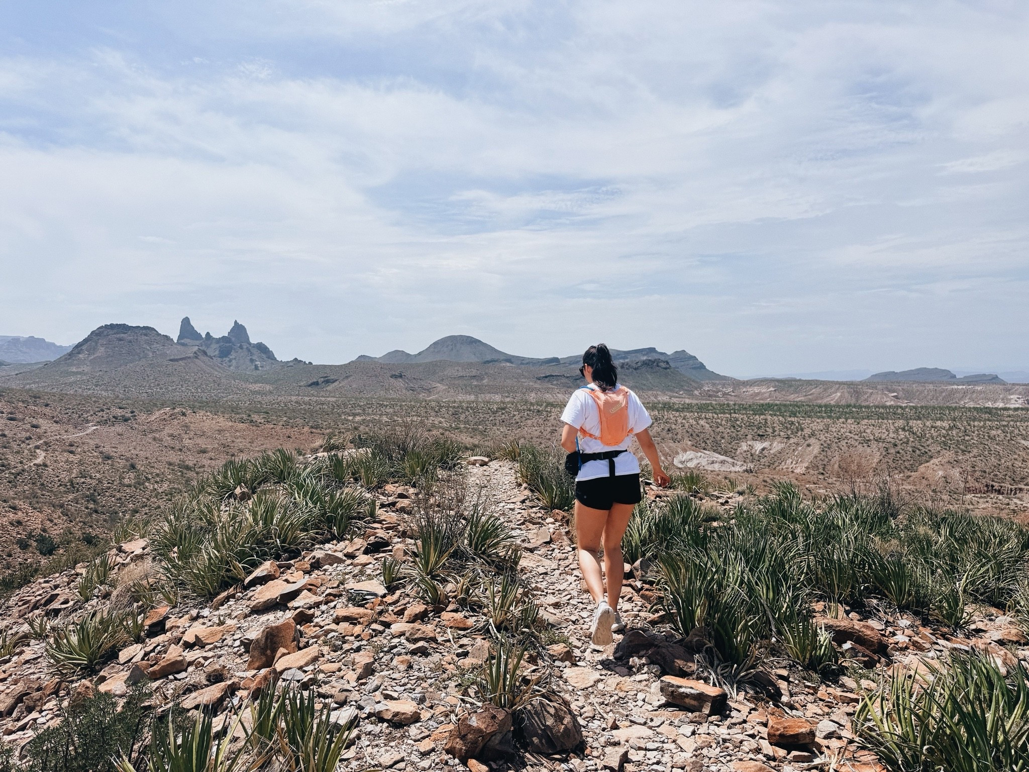 nothing like hiking in this Texas heat ☀️🔥🌵

#LTKootd #LTKActive #LTKTravel