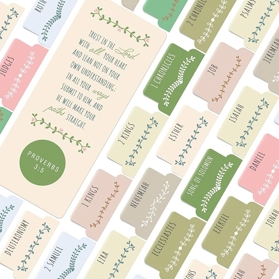 Green, Blue & Pink Bible Book Tabs, 100 Soft-Touch, Laminated Bible Tabs for Jesus Bible, Bible A... | Amazon (US)
