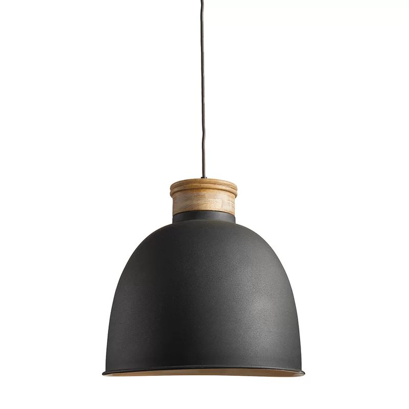 Aleric 1 - Light Single Bell Pendant | Wayfair North America