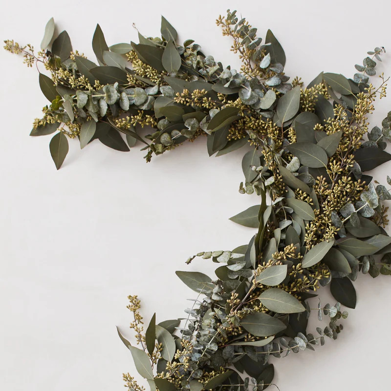 Fresh Eucalyptus Garland - 6ft | The Citizenry