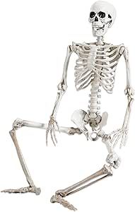 Abakuku 36" Posable Halloween Skeleton Decorations,Human Bones for Halloween Party with Movable J... | Amazon (US)