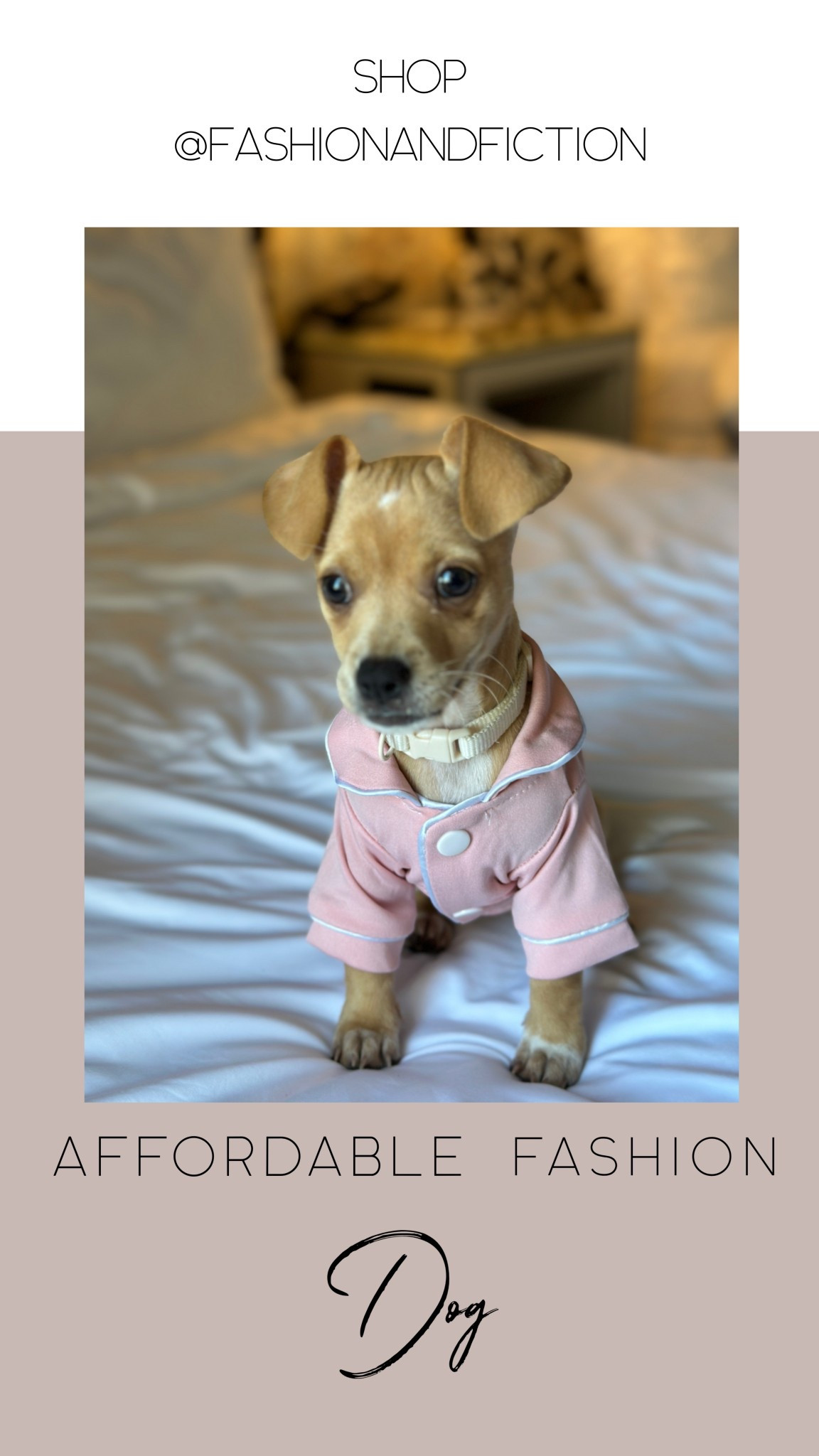 PJ shirt for dogs. Daisy loves this top so much. It comes in a pack of 3 (black, blue, pink) Lots of sizes available. She’s wearing XXS. Weight 4lbs  