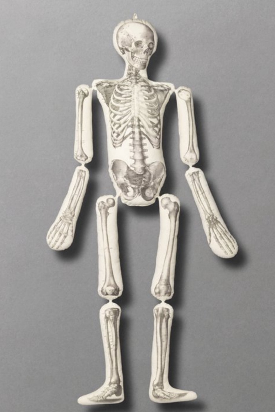 John Derian for Target is back!!

#LTKHome #LTKSeasonal