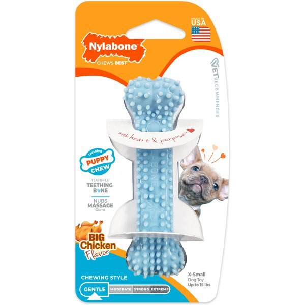 Nylabone Puppy Teething & Soothing Flexible Chicken Flavor Chew Dog Toy Blue, X-Small | Chewy