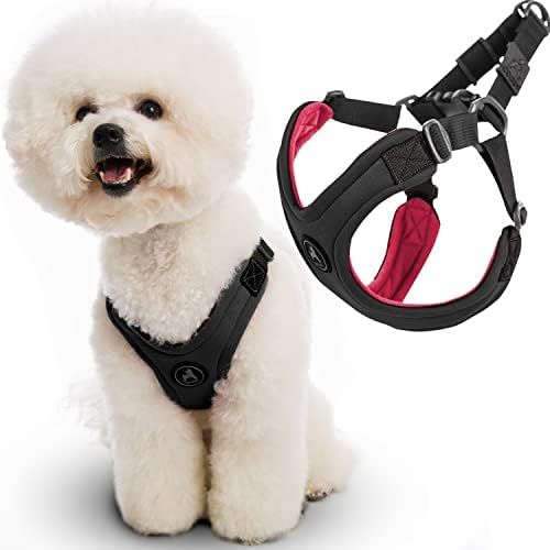 Gooby Escape Free Sport Harness - No Choke Step-in Patented Neoprene Small Dog Harness with Four-... | Amazon (US)