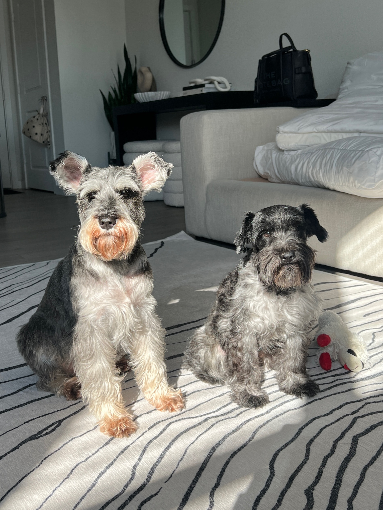 For the DAWGS.

#LTKhome #LTKkids