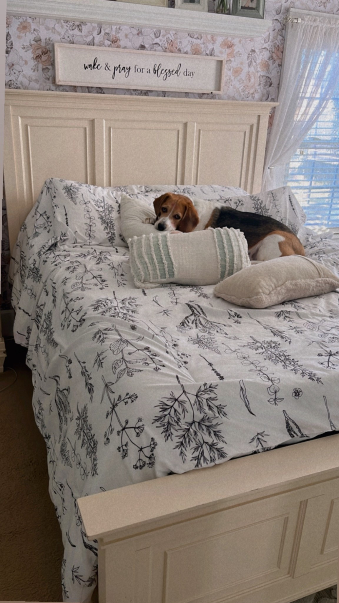 Dog not included 🫶


#LTKFindsUnder100 #LTKFindsUnder50 #LTKHome