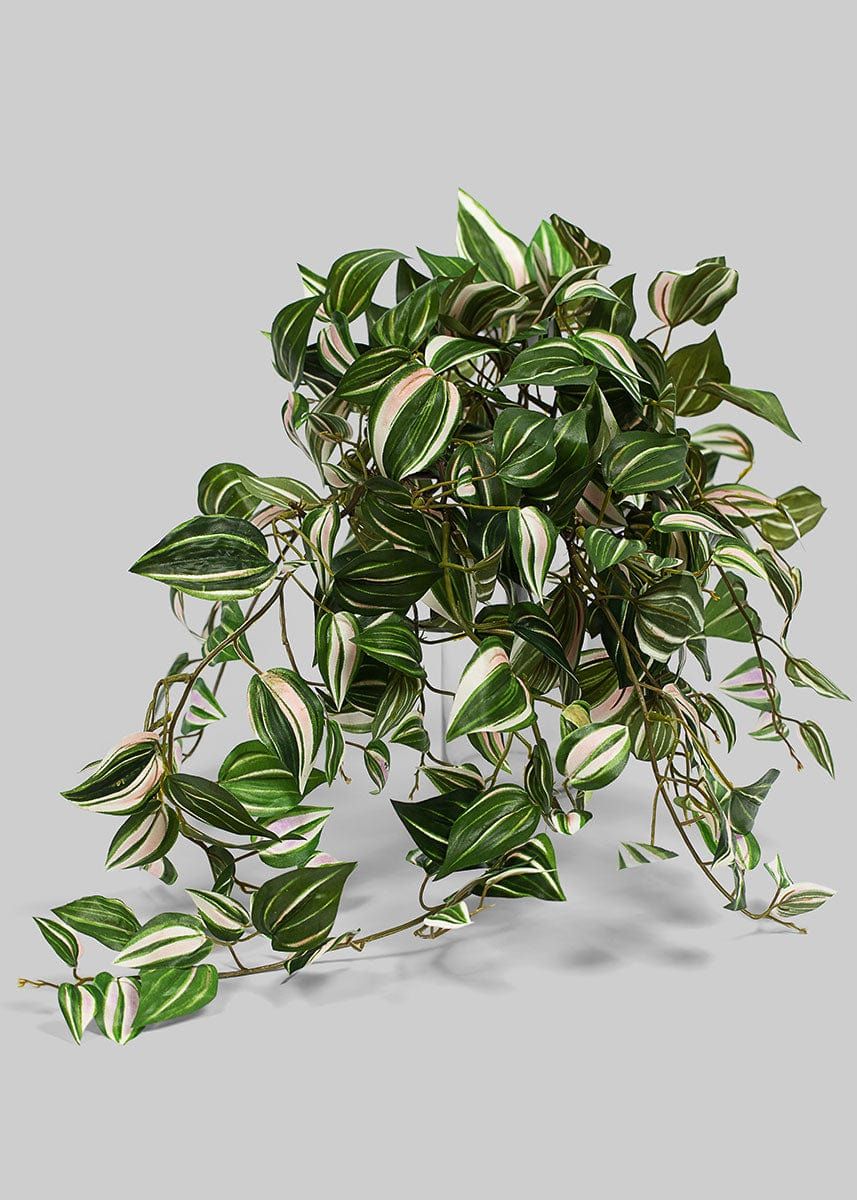 Green Cream Wandering Jew Plant | Fake Hanging Plants at Afloral.com | Afloral