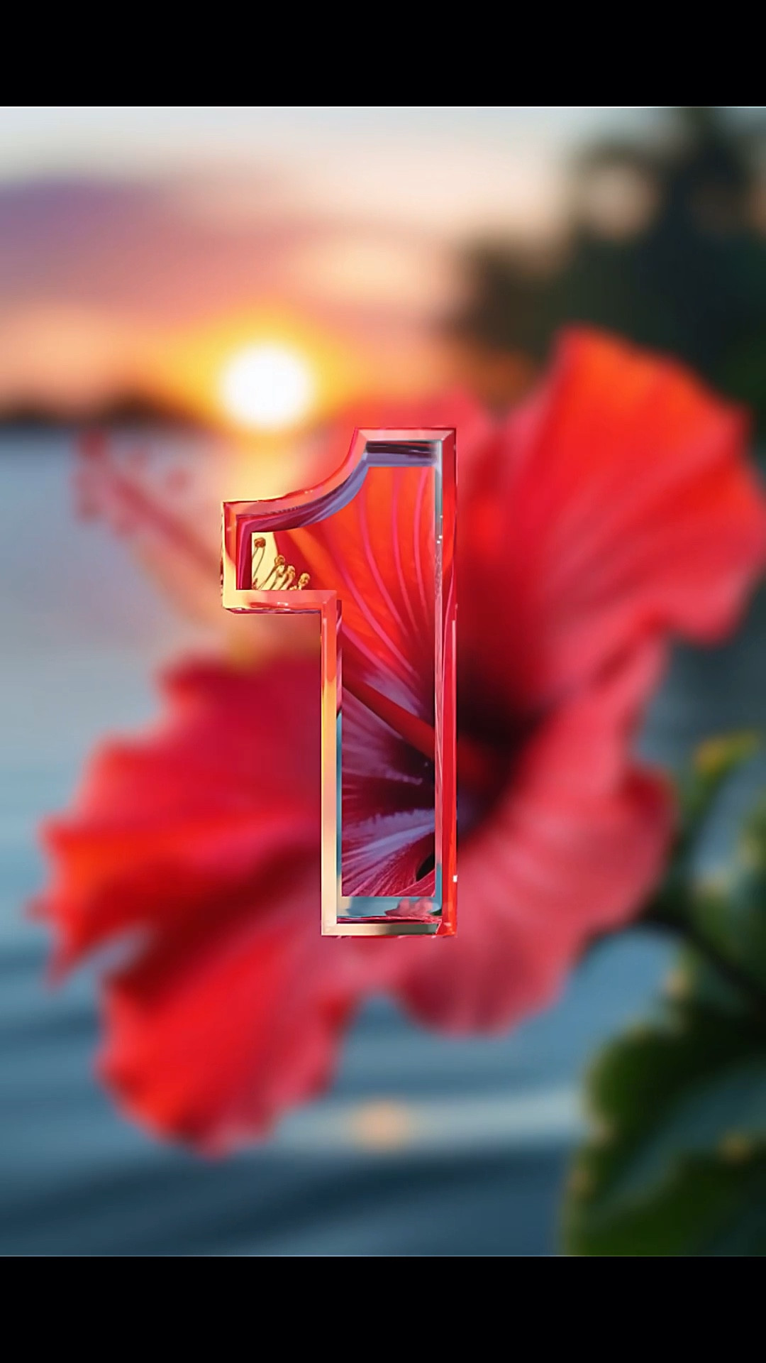 Hibiscus in Havana — Part IV 🌺

Sun-warmed walls, salt in the air, and a print that feels like it belongs here.
Part IV is about slowing down—letting color lead, letting the city breathe, letting style feel effortless. Havana doesn’t rush you, and neither does this look.

Quiet luxury, Caribbean light, and a hibiscus moment that lingers.

Tap to shop the edit. Save for your next warm-weather escape.

#LTKTravel #LTKGiftGuide #LTKWedding