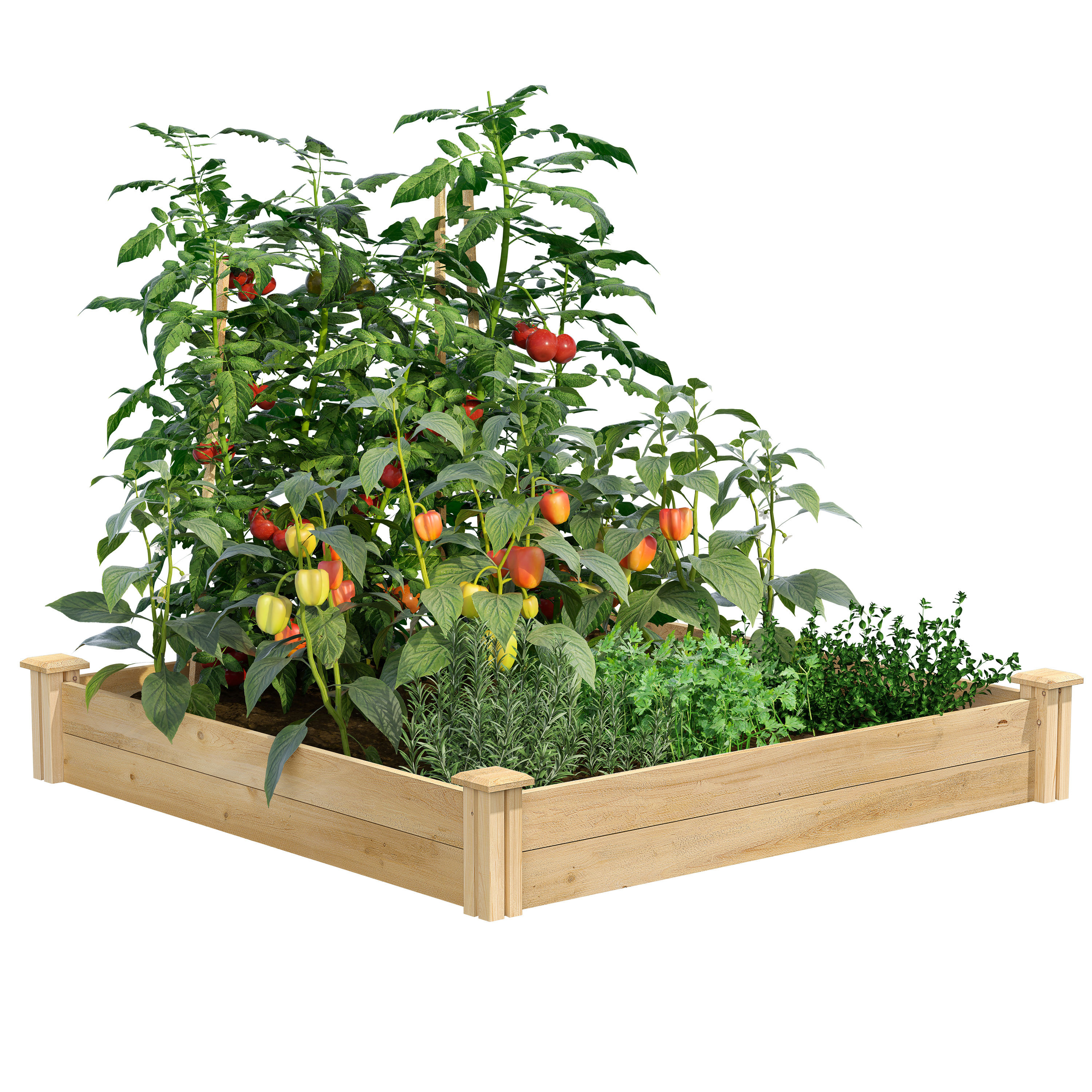 Greenes Fence 9.3-cu ft 48-in W x 48-in L x 7-in H Natural Cedar Cedar Raised Garden Bed Large in White | RC4C4 | Lowe's