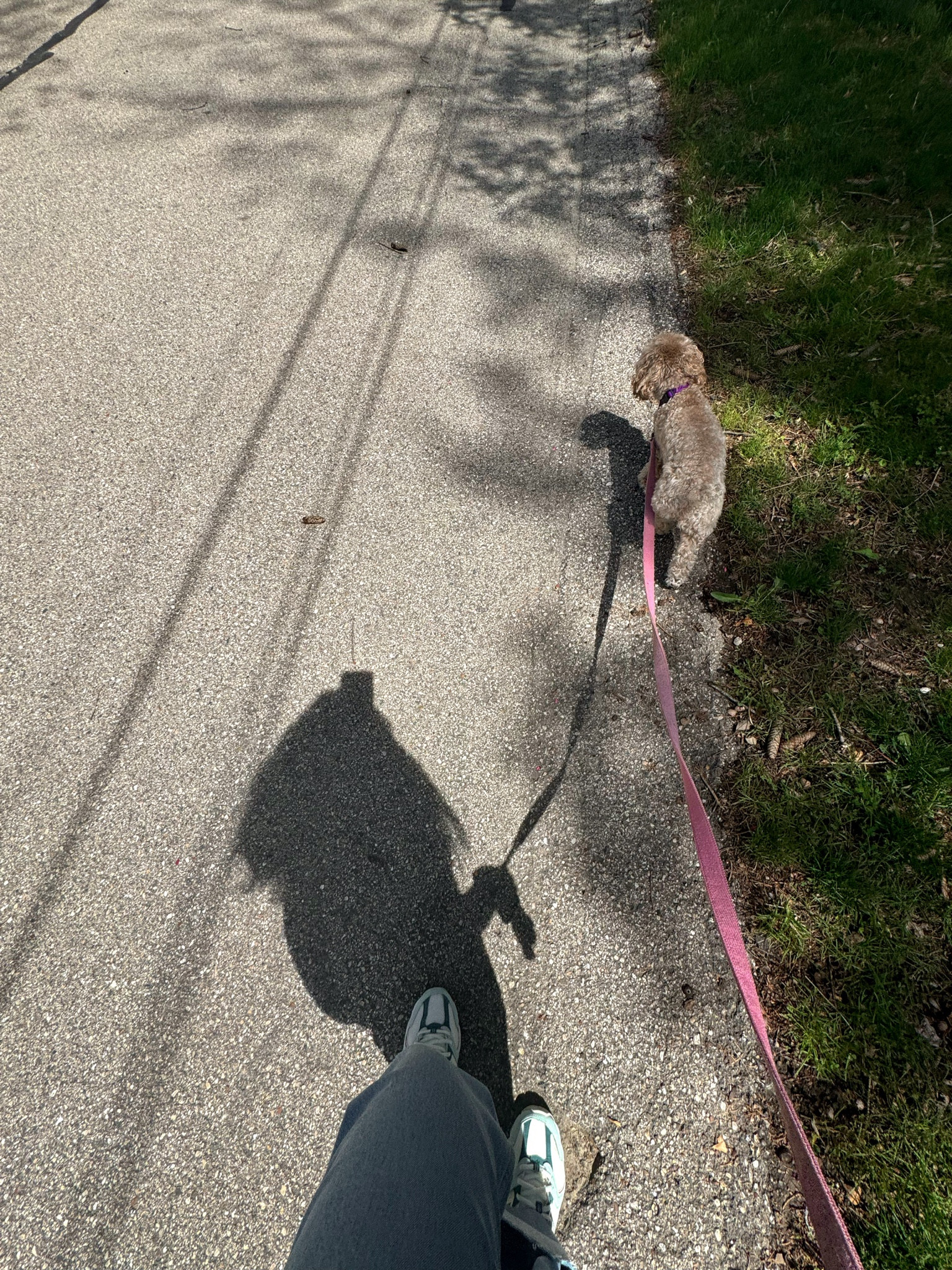 Girlypop Walks 🫶🏼💖✌🏼

#LTKActive #LTKSeasonal #LTKmidsize