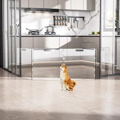 Acylic Pet Playpen Gate For The House Doorways, Clear Acrylic Pet Gate For Dogs, Freestanding, Clear (medium, Panel, 4) | Wayfair North America