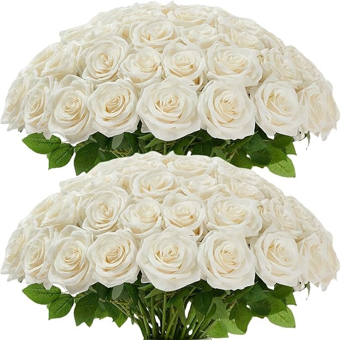 50pcs Ivory Roses Artificial Flowers Bulk Fake White Roses Silk Flower with Stems Realistic Flowe... | Amazon (US)