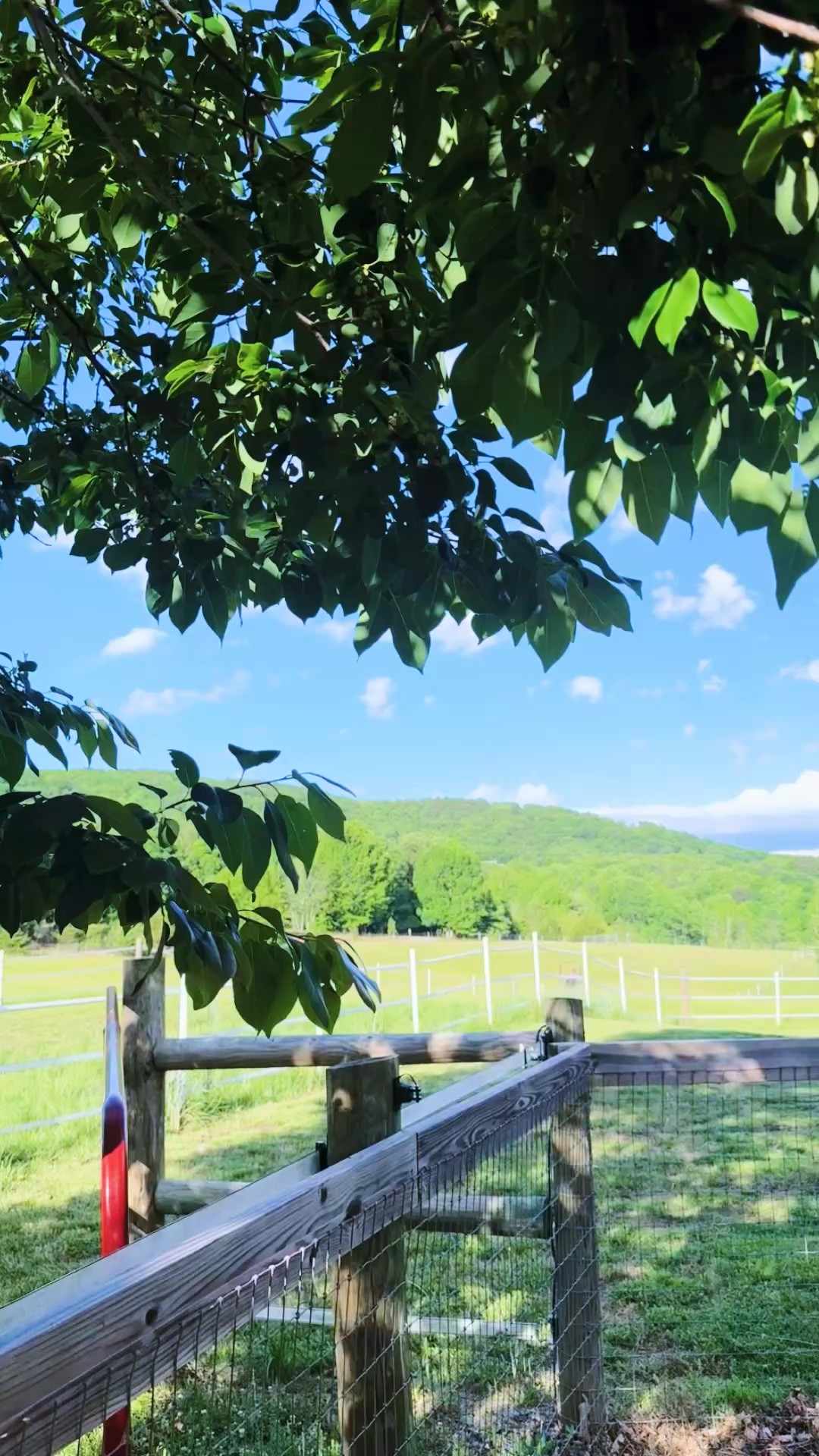 Nights like this forever and ever amen! 🌳 “Dada” cutting our grass 🚜 and pastures 🌱 and my babies 👶🏼 playing in the dirt 🤎 (yes, we LOVE this mud kitchen - highly recommend 👏🏽)!!! And I’ll just never (!!) get over the panorama views that are on this farmhouse on the hill 🏡- just such a DREAM 💭 y’all!!! ☀️🫶🏽