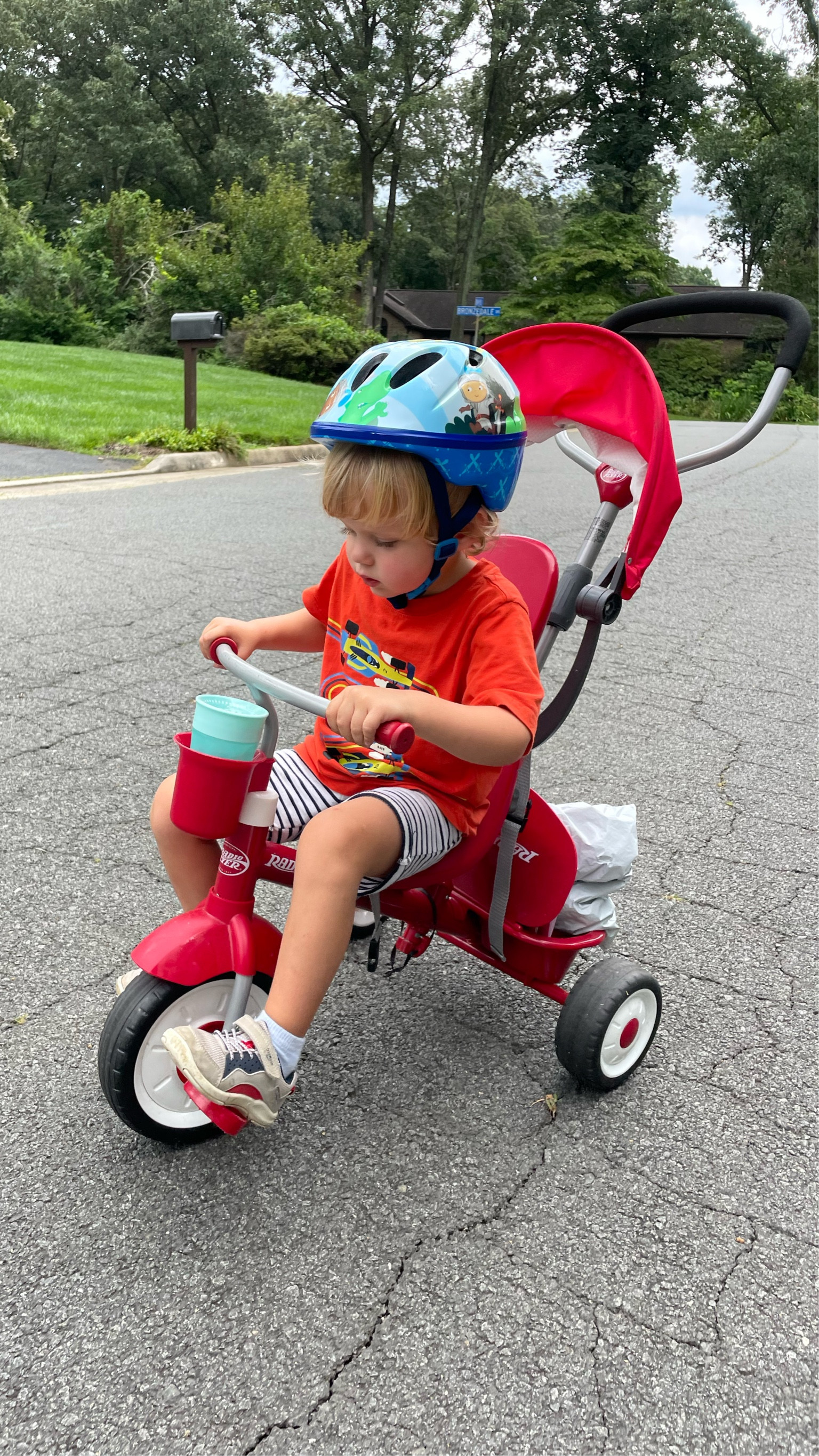 Radio flyer outlet tricycle pedal lock