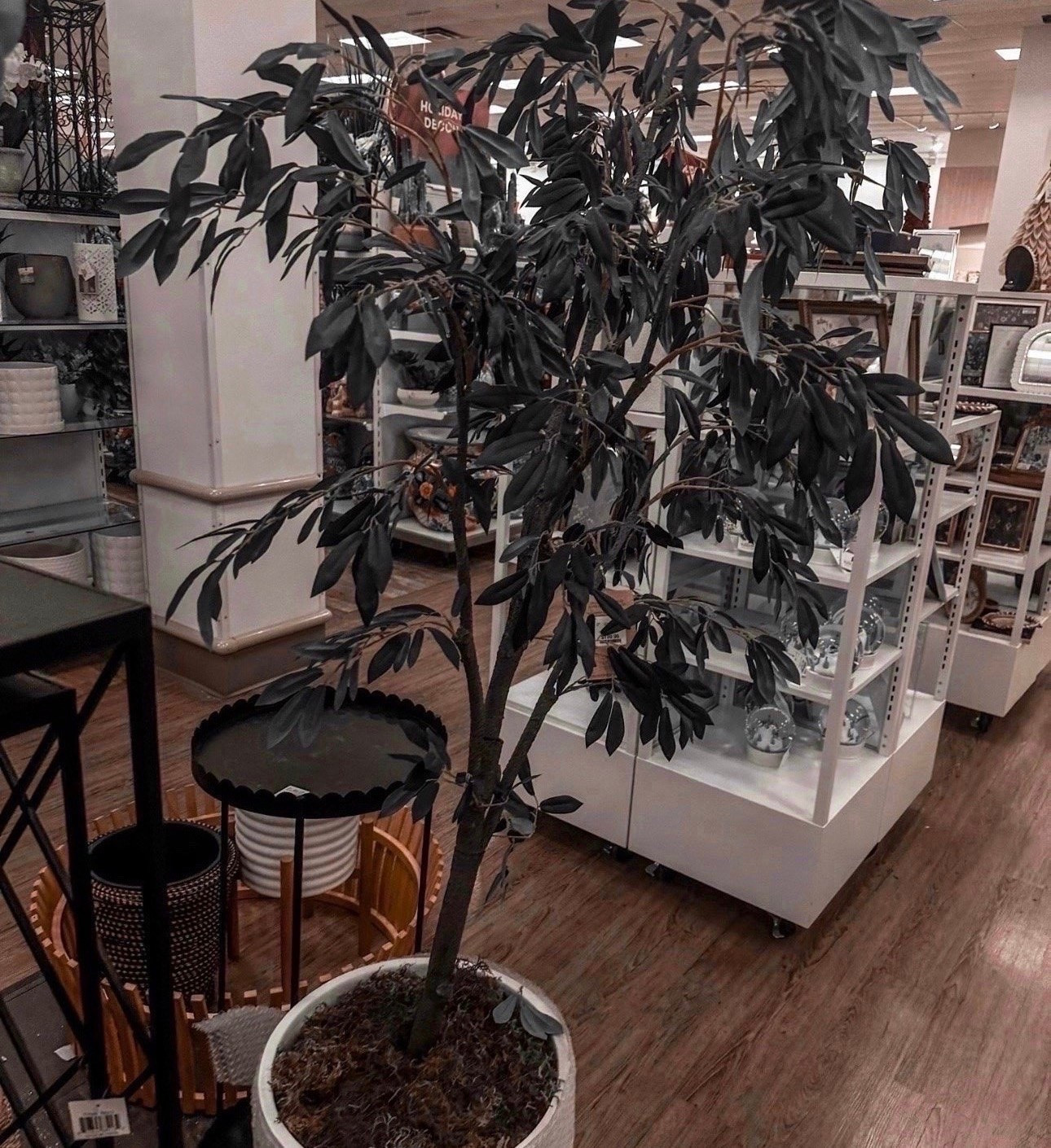 Found the perfect "forever" greenery! 🌿 This olive tree adds that high-end designer look without the maintenance. Perfect for filling that empty corner in your living room or entryway.

#LTKHome