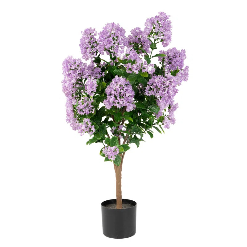 Out-MYRPL-36-1Pk | Wayfair North America