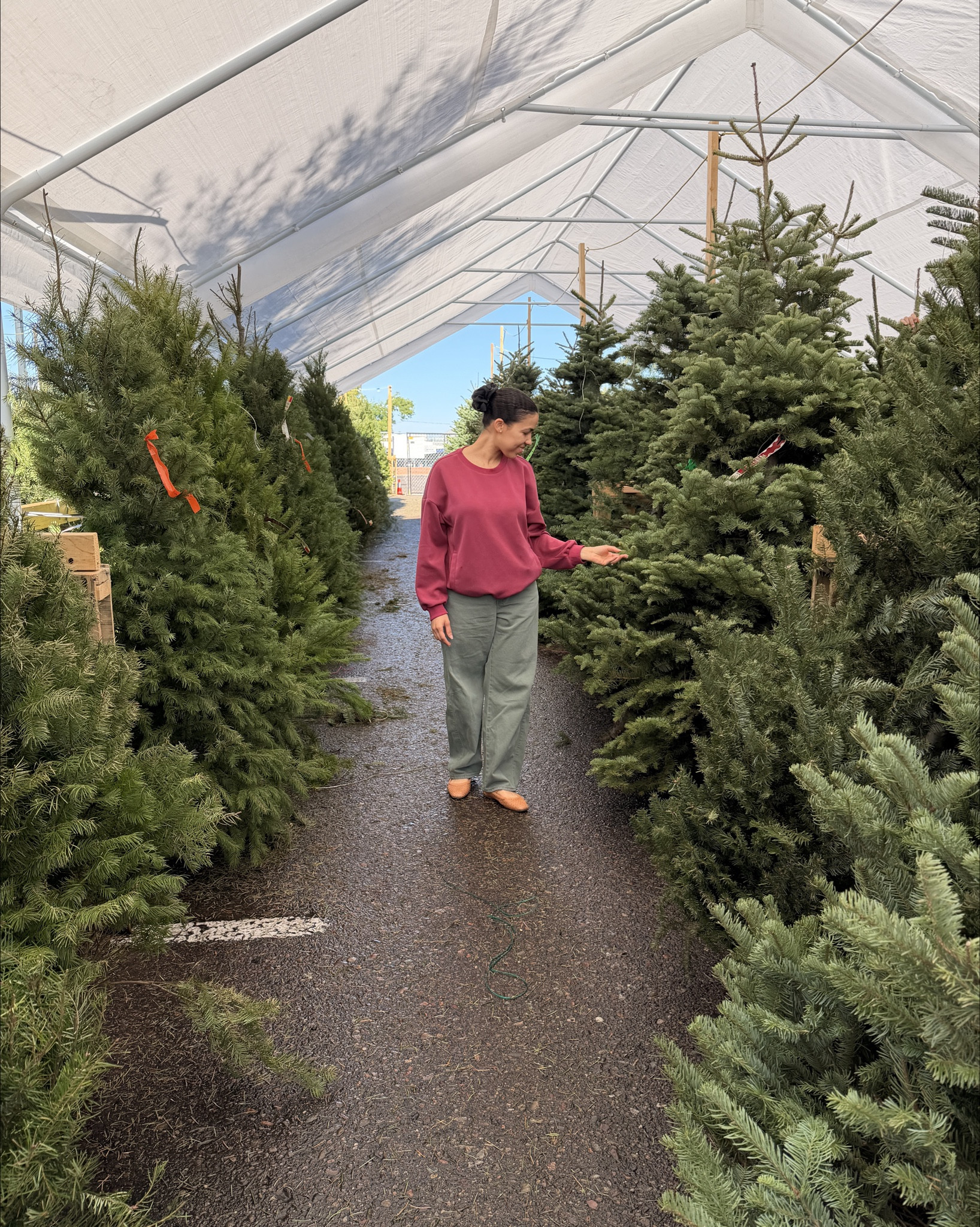 These Levi’s Jeans are so comfy! Perfect for every mom! Currently on sale! 
Make sure to size down! ☺️

#LTKCyberWeek #LTKmomlife #LTKSaleAlert