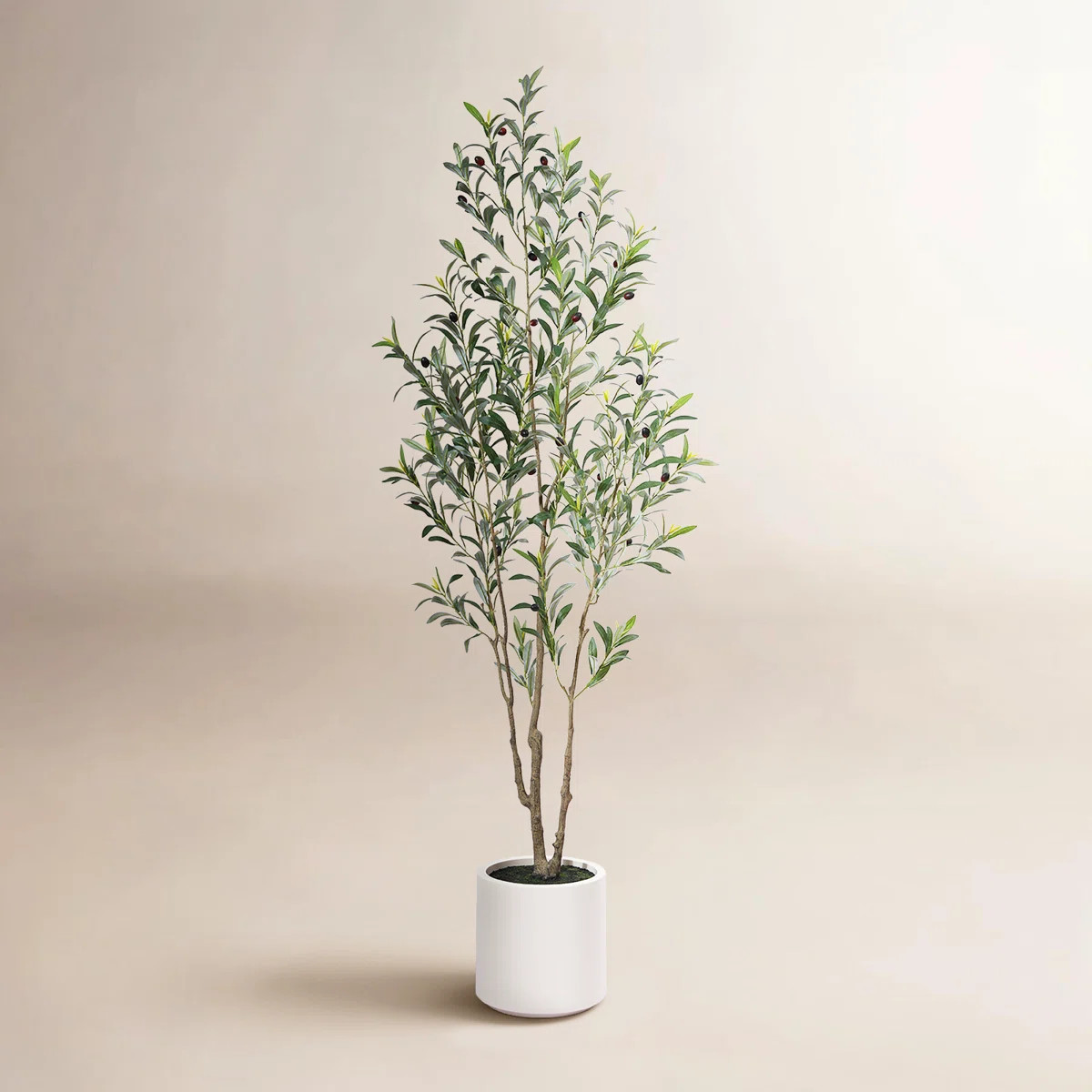 Primrue Altman Faux Olive Tree in White Planter, Lifelike Fake Olive Plant for Indoor and Outdoor... | Wayfair North America