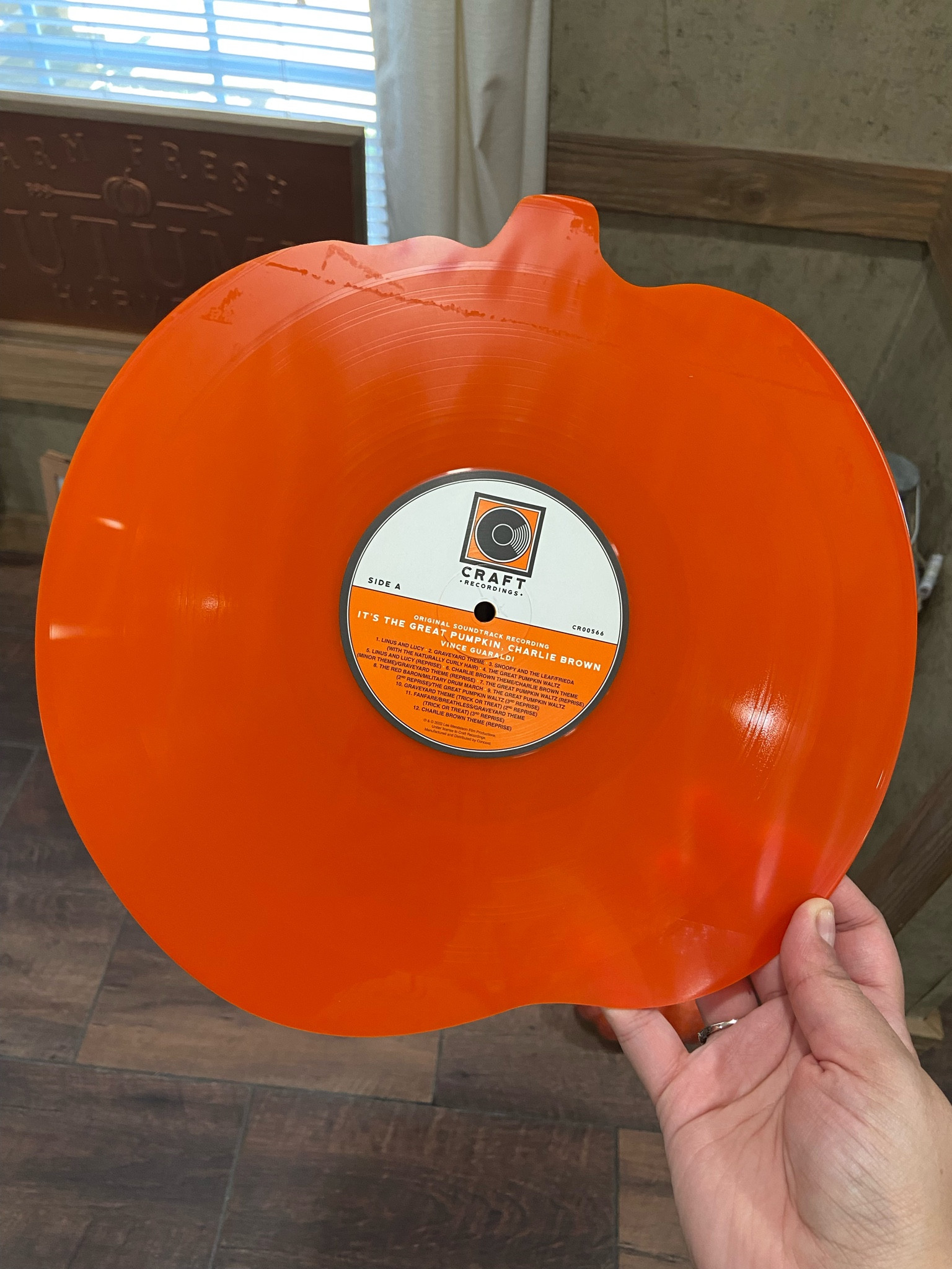 The album of fall 🍁

#LTKHalloween #LTKxPrimeDay #LTKSaleAlert