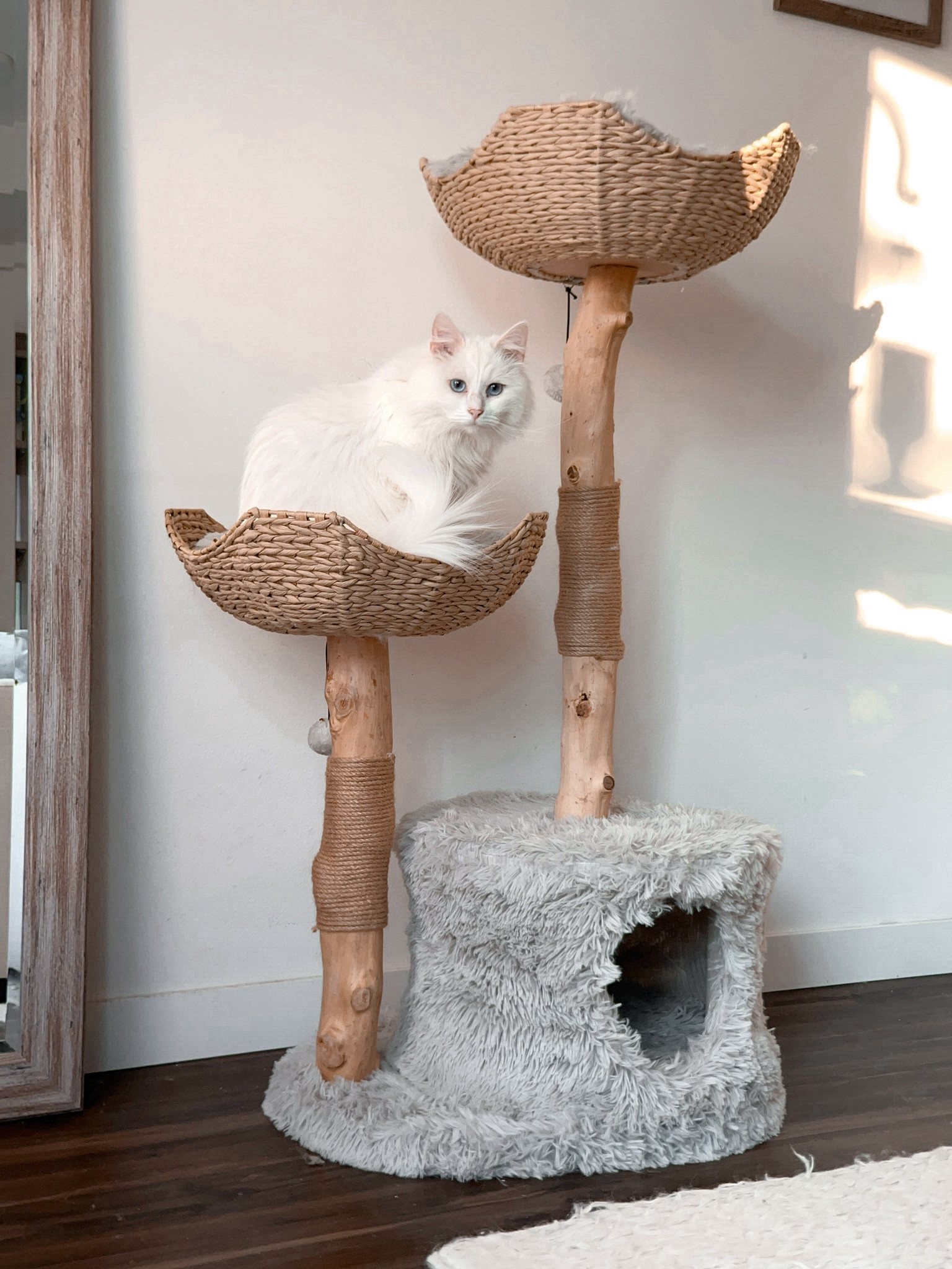 Featuring the most beautiful cat tree we’ve ever seen 🤍 It’s cozy, it’s aesthetic, and it elevates our hygge home decor 🫶🏻😊 Love it!

#LTKfamily #LTKhome #LTKbeauty