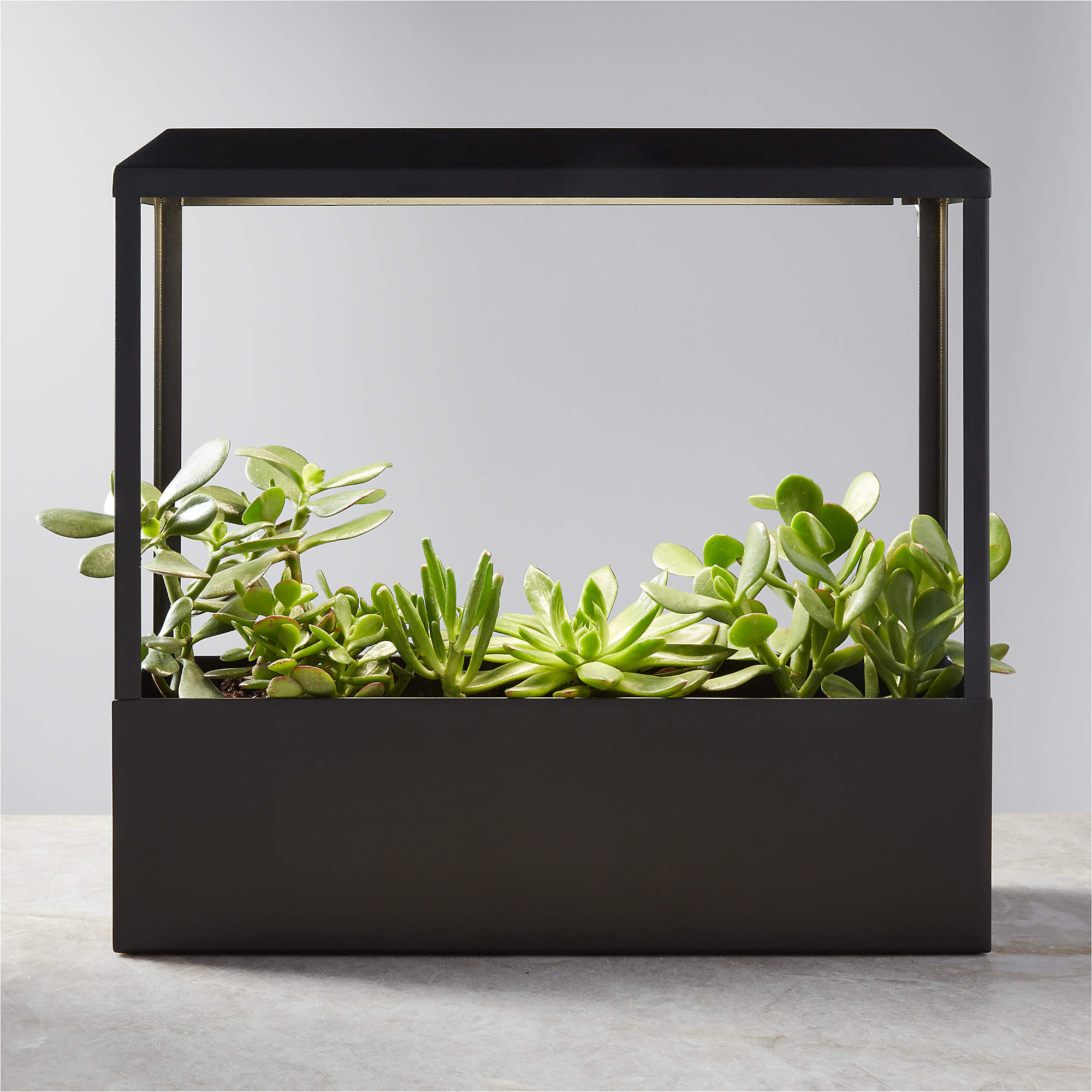 Black Smart Growhouse | CB2 | CB2