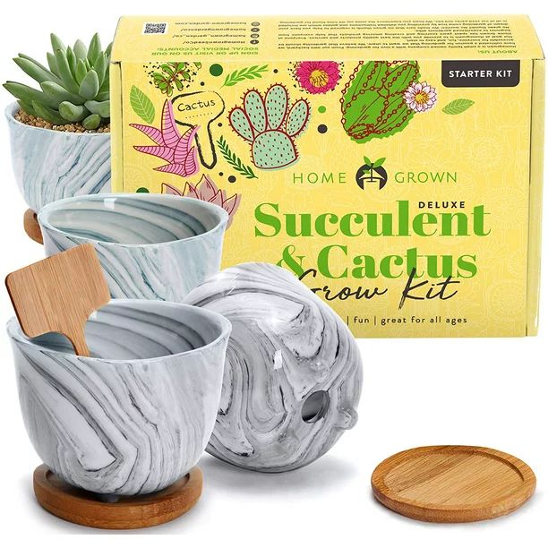 Deluxe Succulent & Cactus Seed Grow Kit - Complete Indoor Cactus & Succulent Kit w/Cactus Seeds, ... | Walmart (US)