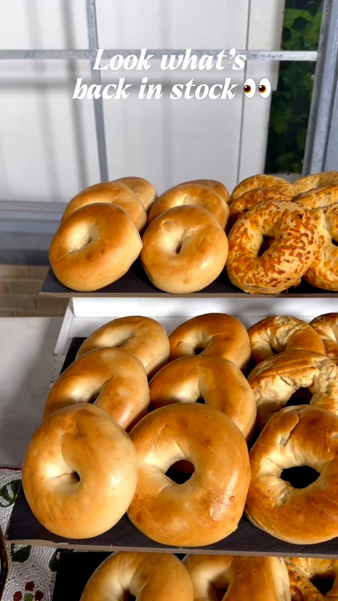 They sold out once…and now they’re FINALLY back! 🥯🎉 My first-ever food collab with Just Bagels has been restocked and I’m still pinching myself that I got to create two bagel flavors of my very own. This has been a dream come true and seeing how excited you all were about them made it even more special! 

🍕 Tara’s Tuscan Pizza Bagel: Savory, cheesy, and packed with all those Italian flavors I love! It has oregano, garlic, onion, paprika, sun-dried tomatoes, basil, and provolone melted right on top. It’s delicious toasted all by itself, or turn it into the ultimate pizza bagel with sauce and extra cheese on top!

 🤎 Sweet Sugar Cookie Bagel: everything you love about a sugar cookie, but in bagel form! It’s crunchy on the outside yet soft and chewy on the inside and has a touch of vanilla and sweet icing bits throughout. Toast it up for breakfast, dessert, or anytime you’re craving a sweet treat!

They sold out fast the first time, so don’t wait on this restock! Shop these bagels before they’re gone again! 👀

#LTKfoodie #LTKHome #LTKSaleAlert