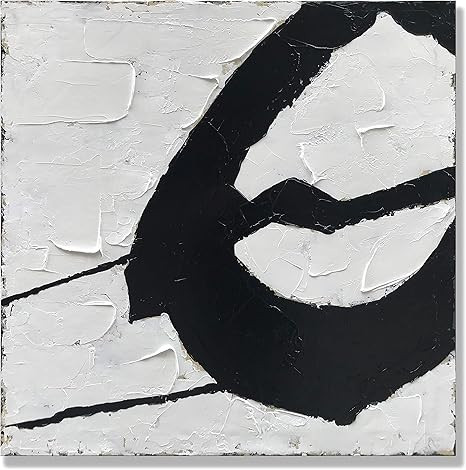 Minimalism Black and White Abstract Canvas Paintings Wall Art 36x36 Inches 100% Hand-Painted Mode... | Amazon (US)
