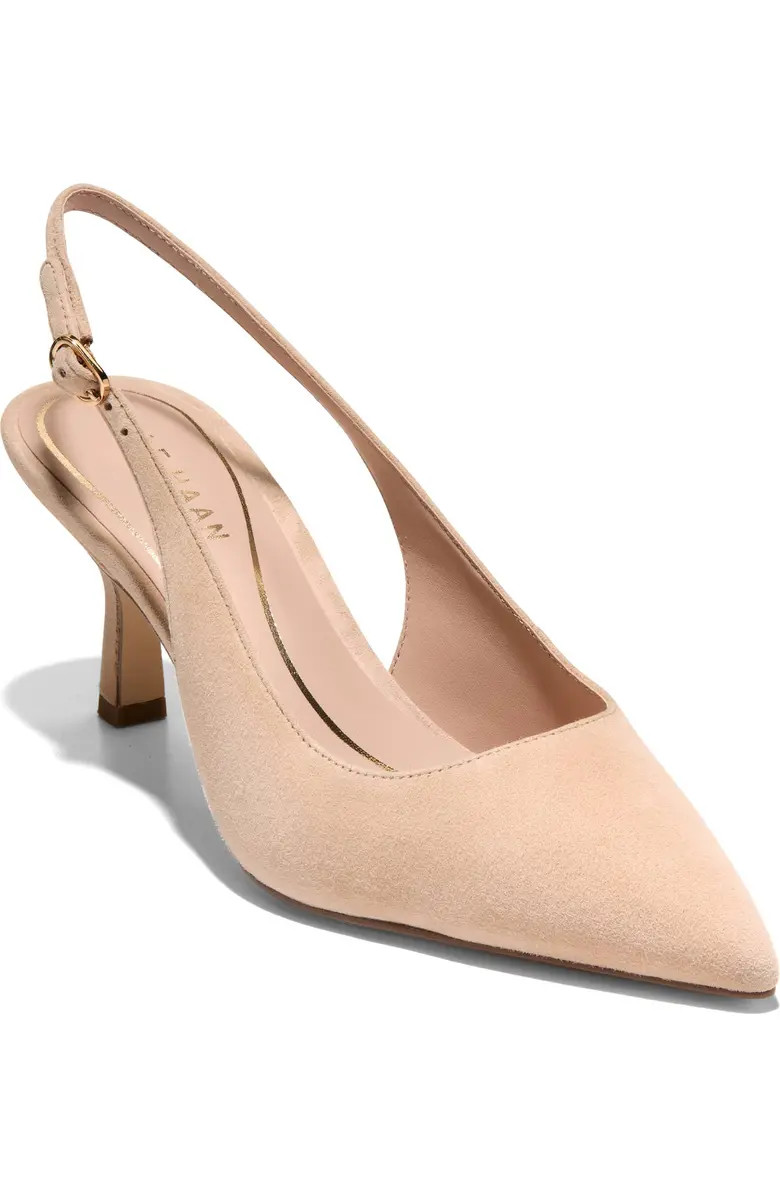 Hansell Slingback Pointed Toe Pump (Women) | Nordstrom