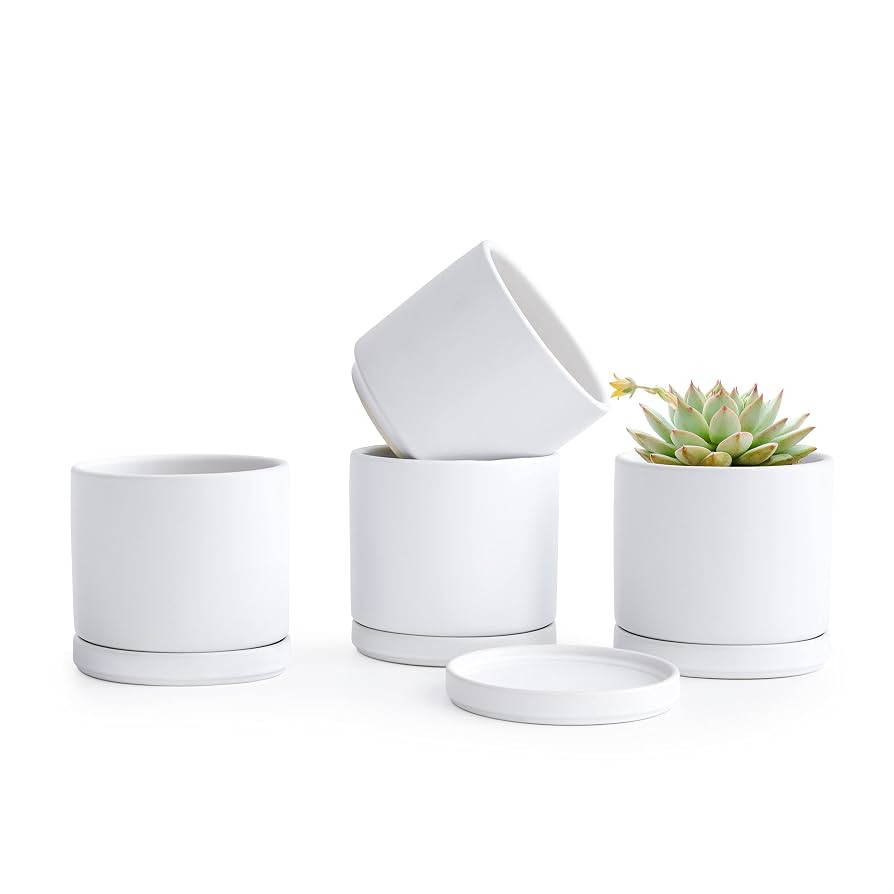 D'vine Dev Set of 4 Small Ceramic Plant Pots, 4.6 Inch Succulent Planter Pot for Plants with Drai... | Amazon (US)