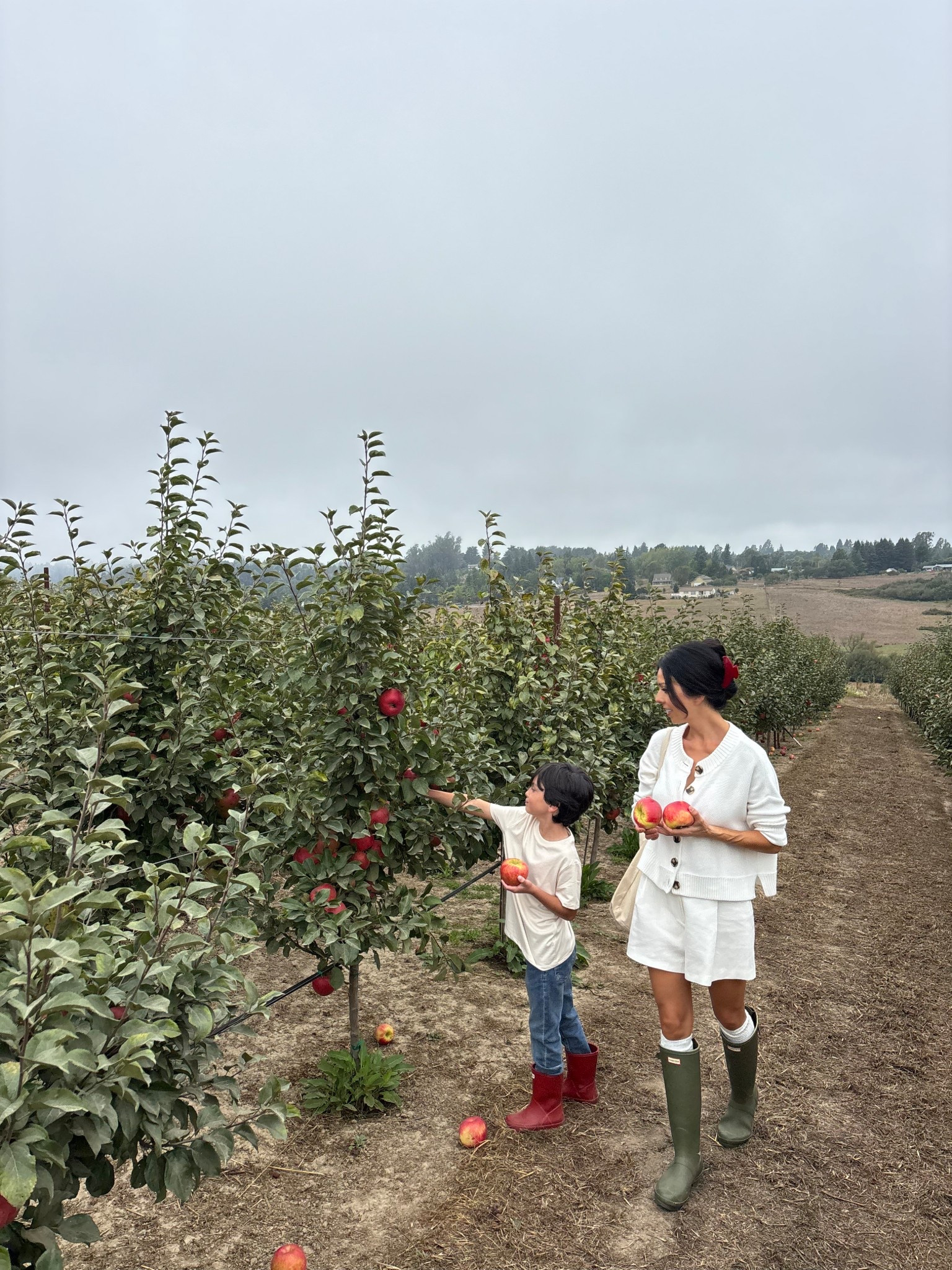 Apple picking 🍎
Organic cotton cardigan. True to size. Wearing a small. 
Green Hunter boots with cozy over the knee Pointelle socks. 
Red gloss hair claw. LOVE this hair claw/clip. It has an amazing hold to it and is 100% non-slip. 
Boys red Hunter rain boots. 

Non-slip clip
Non-slip hair claw
Red hair claw 

#LTKKids #LTKOver40 #LTKSeasonal