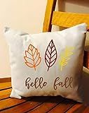 Hello Fall throw pillow, multiple sizes | Amazon (US)