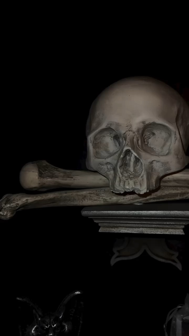 Gothic castle bathroom links! 

#LTKSeasonal #LTKhome #LTKVideo