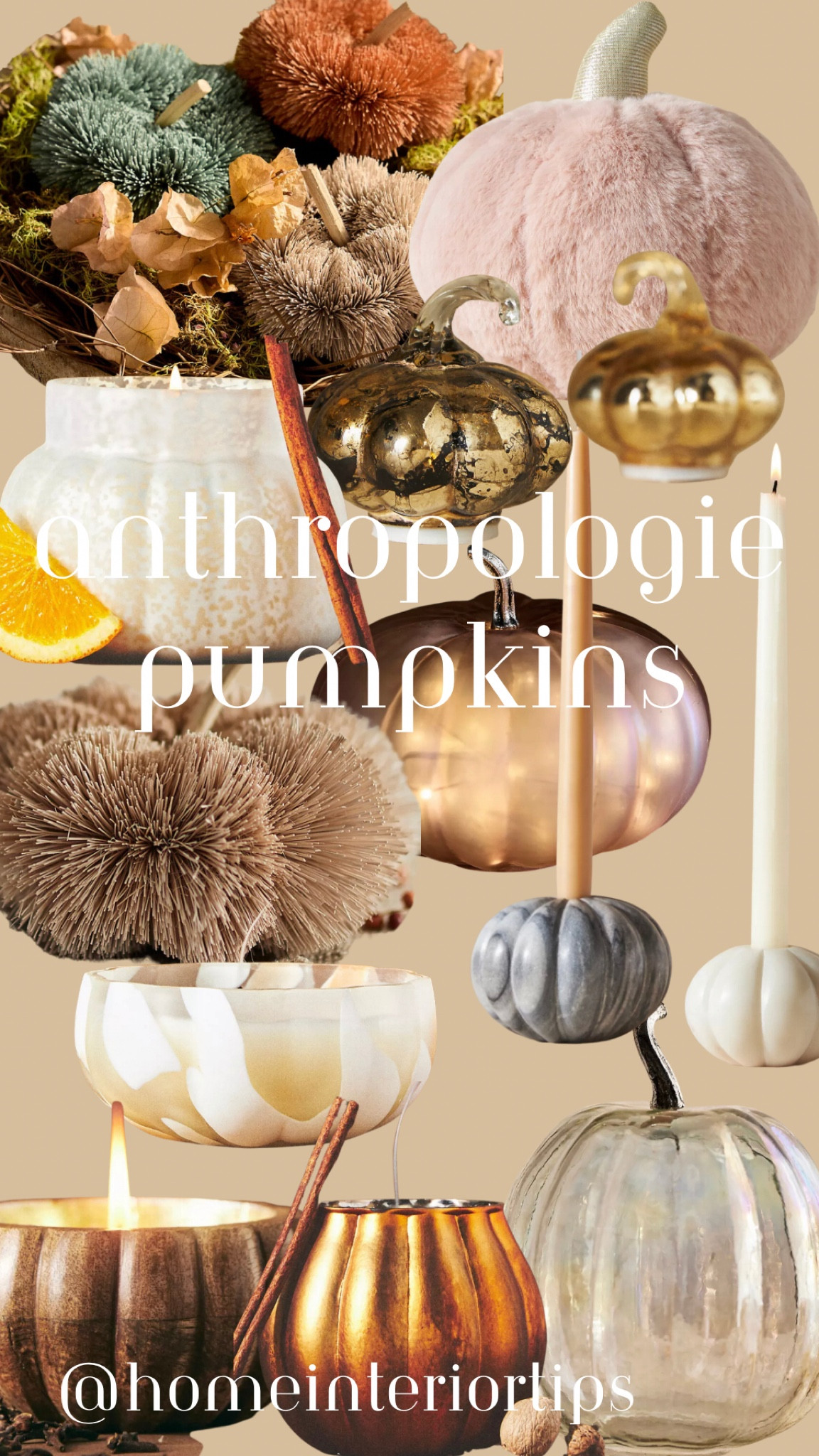 The cutest pumpkins from Anthropologie