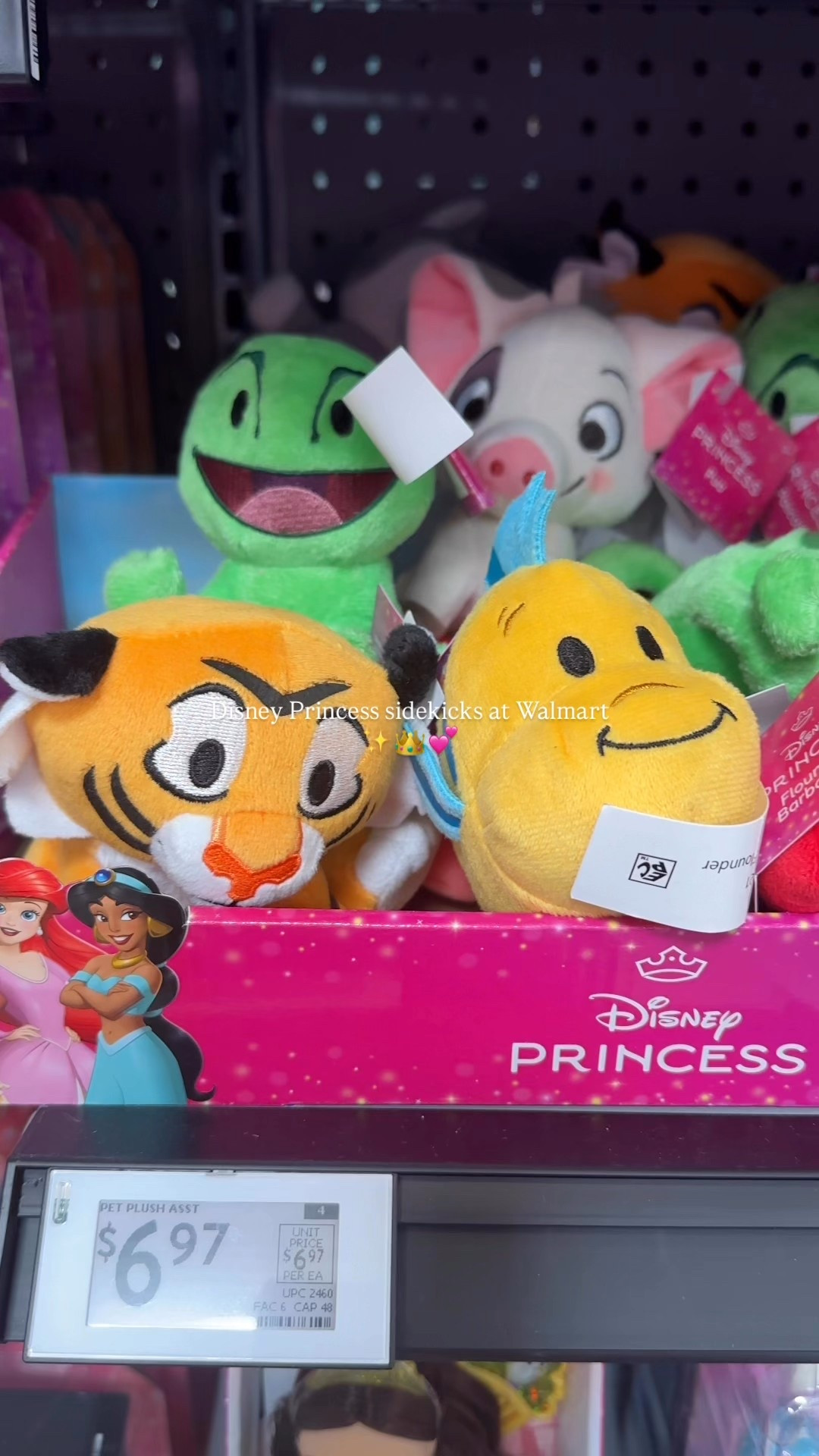 Disney Princess Sidekicks ✨👑

#LTKKids #LTKFamily #LTKBaby