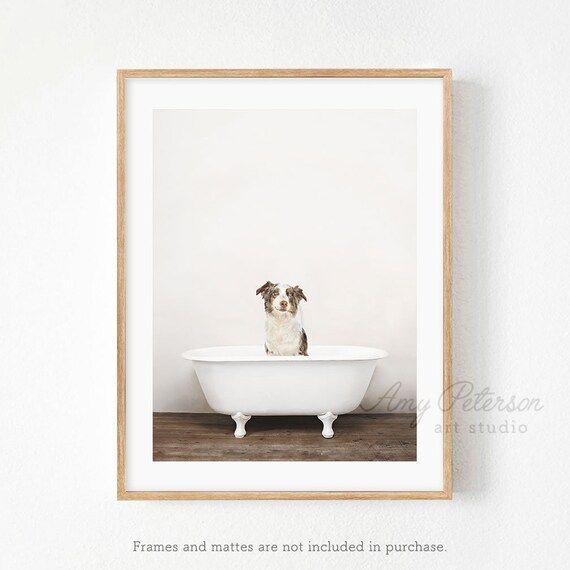 Australian Shepherd Dog in a Vintage Bathtub, Bathroom Art, Whimsy Animal, Funny Bathroom Wall Ar... | Etsy (US)