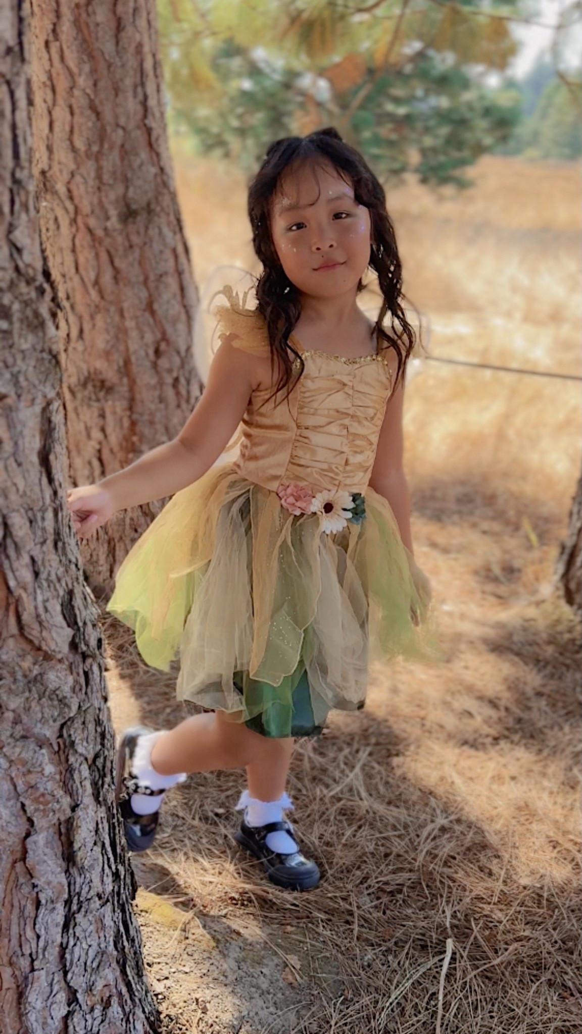 Fairy Dress

#LTKFindsUnder50 #LTKParties #LTKKids