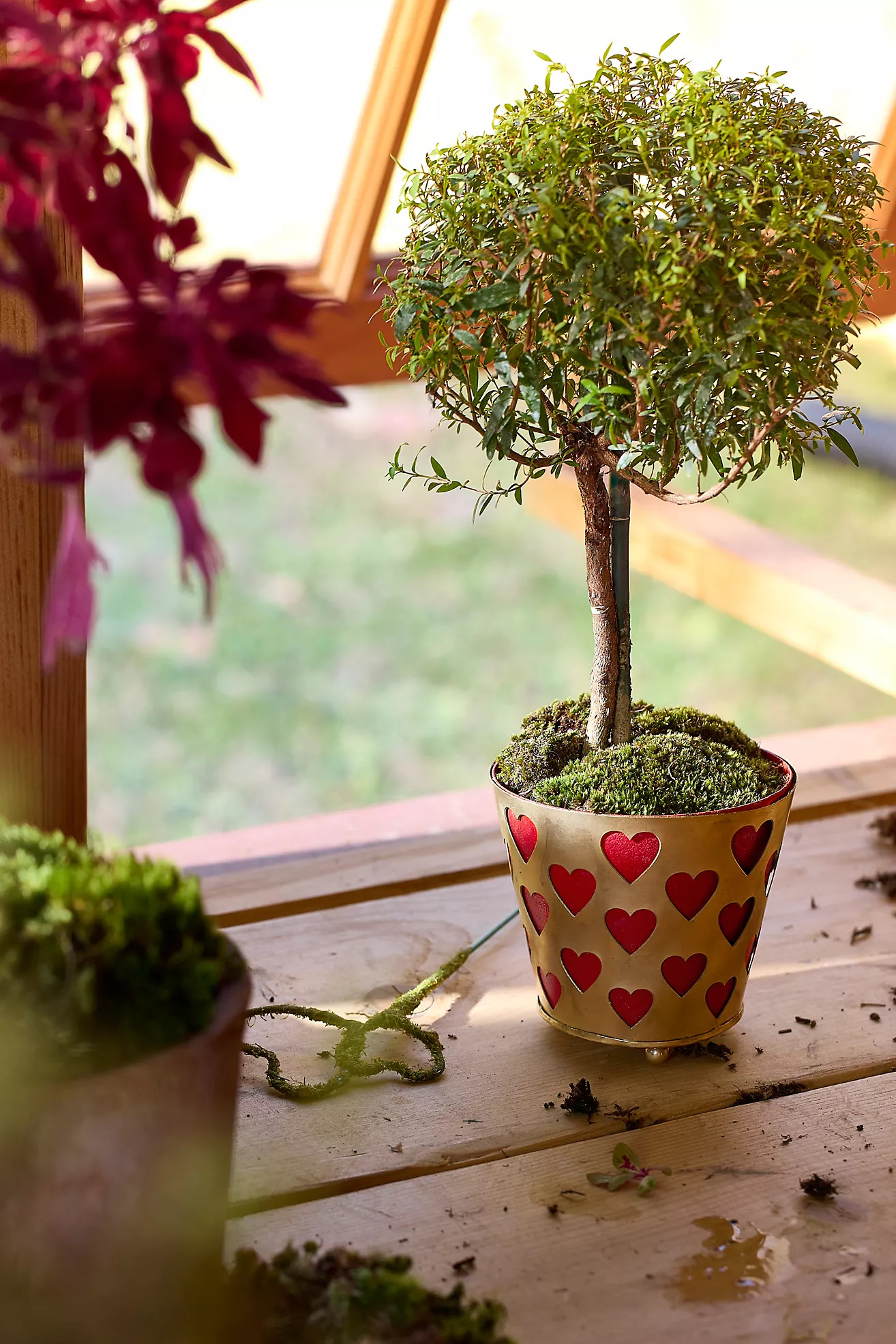 Heart Lattice Iron Pot | Anthropologie (US)